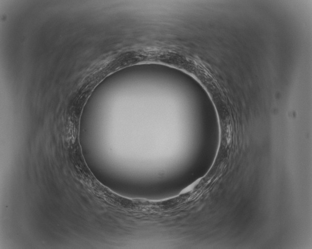 X0000086061253200703301032