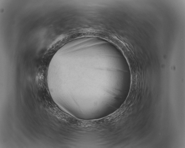 X0000086061254200703301032