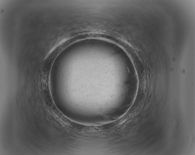 X0000086061255200703301032