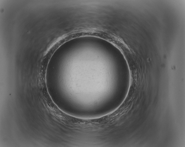 X0000086061256200703301032