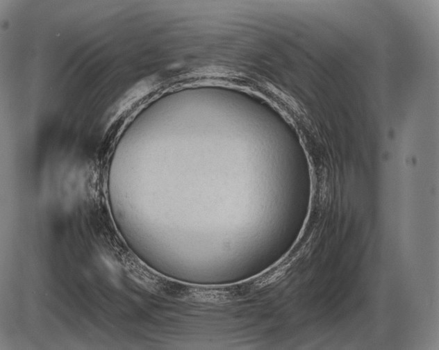 X0000086061258200703301032