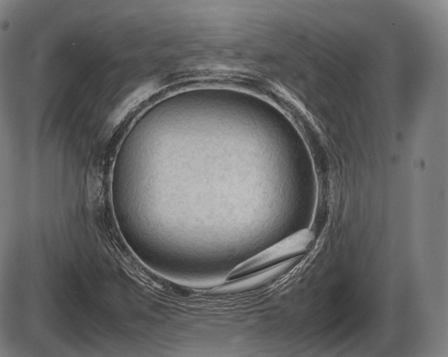 X0000086061259200703301032