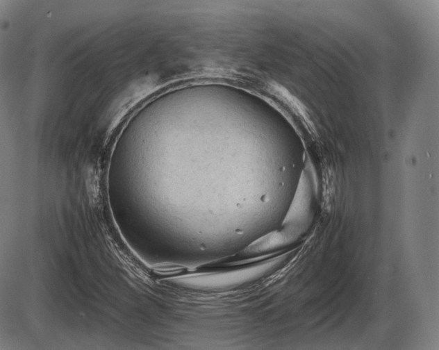 X0000086061260200703301032