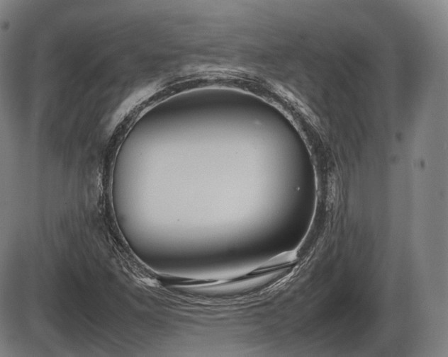 X0000086061261200703301032