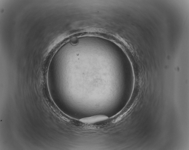 X0000086061263200703301032