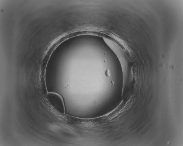 X0000086061264200703301032