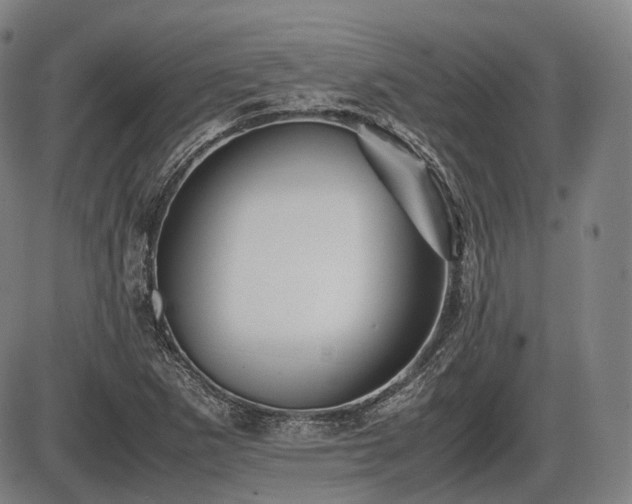 X0000086061265200703301032