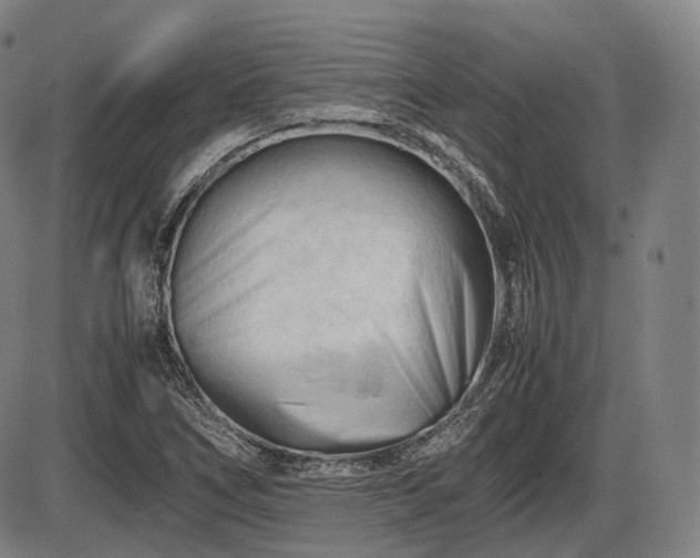 X0000086061266200703301032