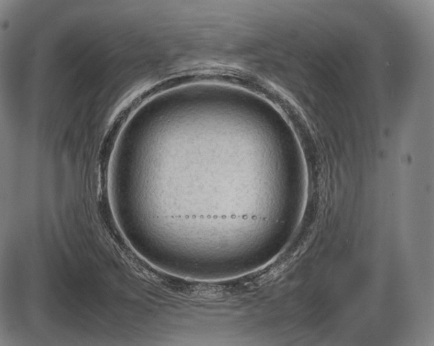 X0000086061267200703301031