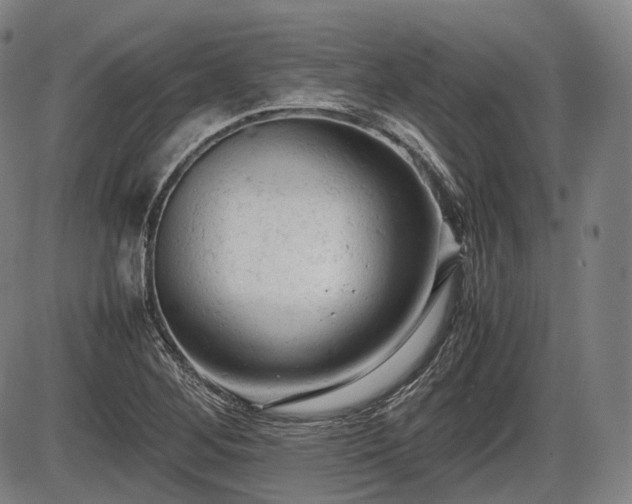 X0000086061268200703301031