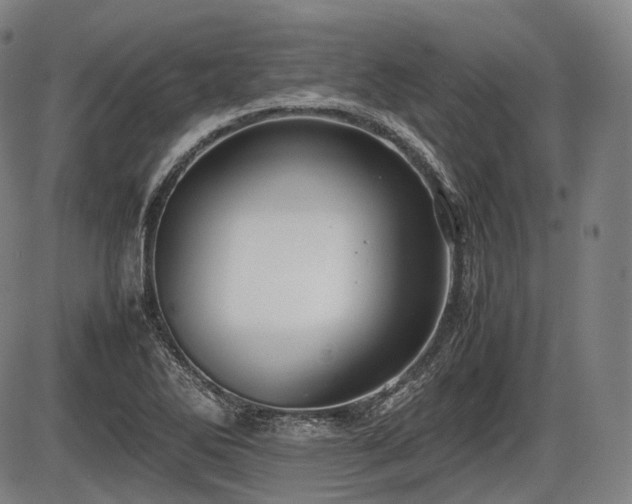 X0000086061270200703301031