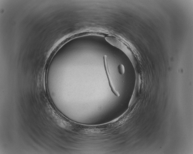 X0000086061272200703301031