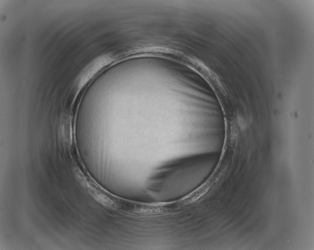 X0000086061274200703301031