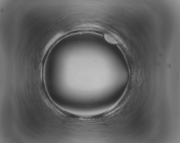 X0000086061275200703301031