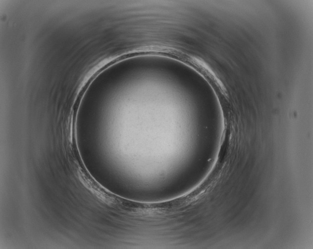 X0000086061276200703301031