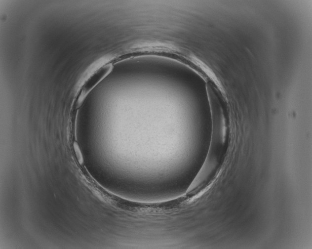 X0000086061277200703301031