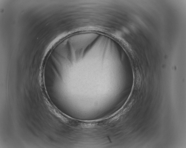 X0000086061278200703301031