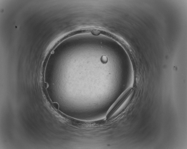 X0000086061279200703301031