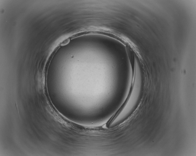 X0000086061280200703301031