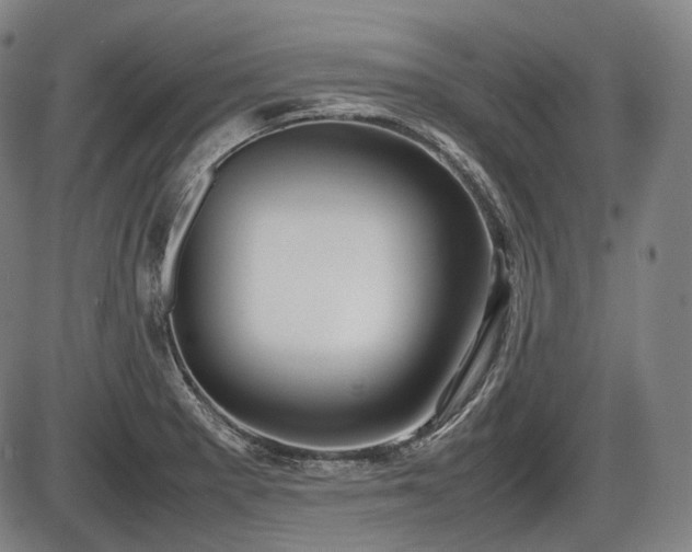 X0000086061281200703301031