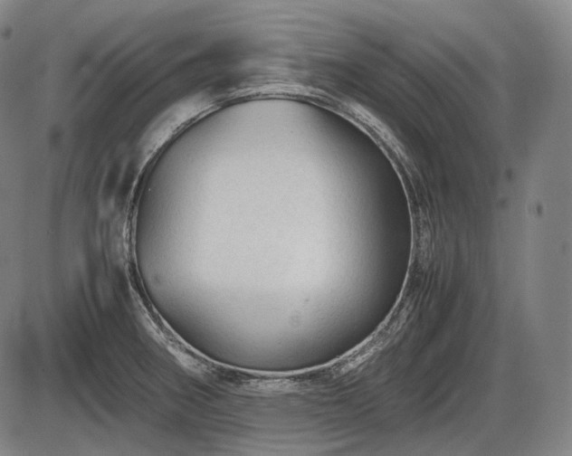 X0000086061282200703301031