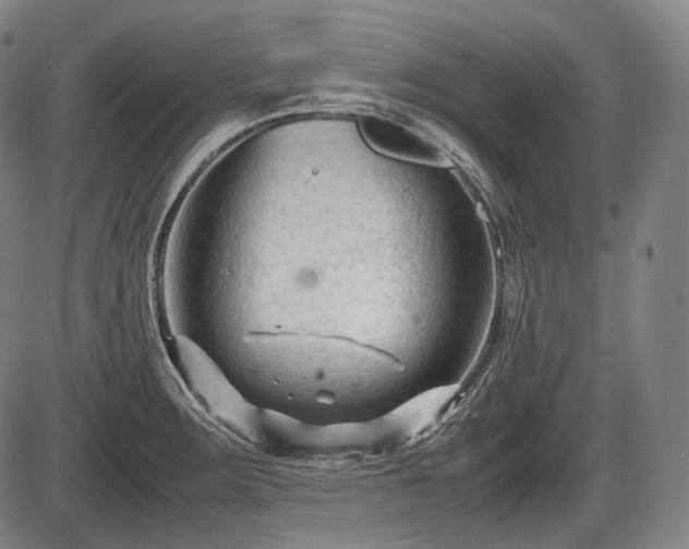 X0000086061283200703301031