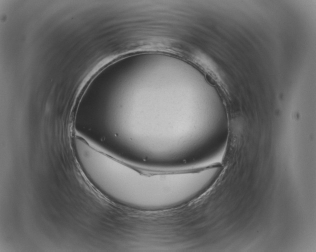 X0000086061284200703301031