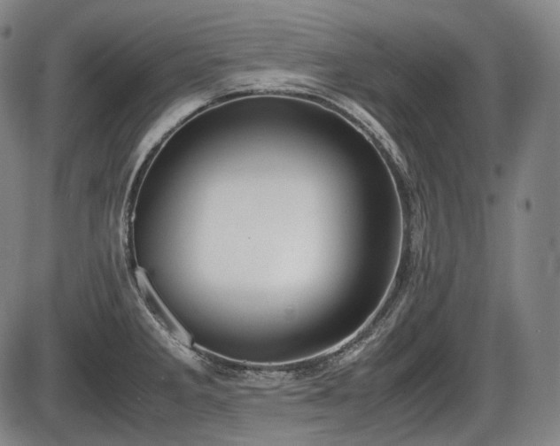 X0000086061285200703301031