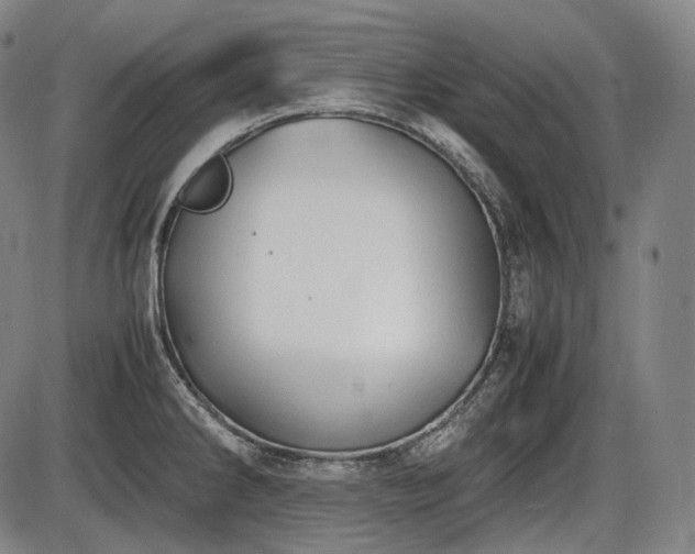 X0000086061286200703301031