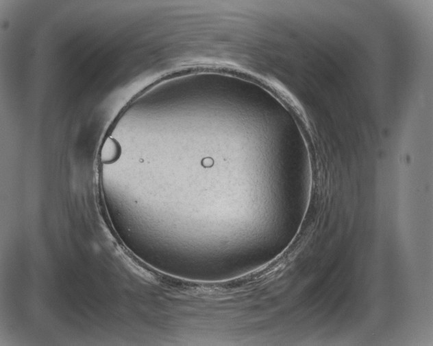 X0000086061287200703301031