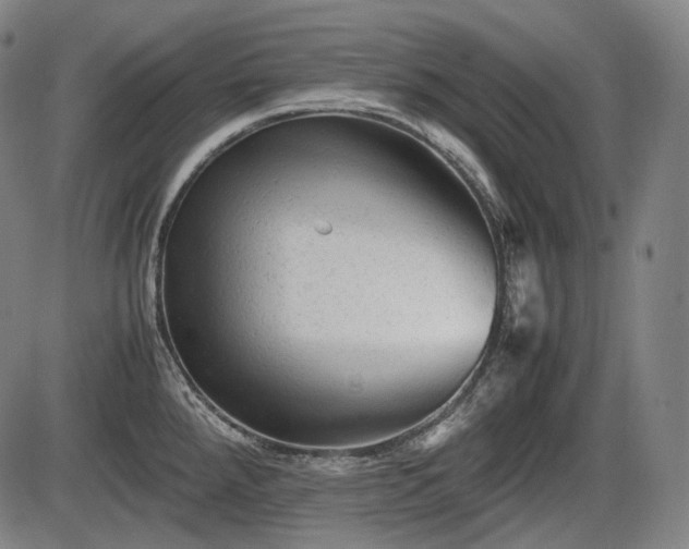 X0000086061288200703301031