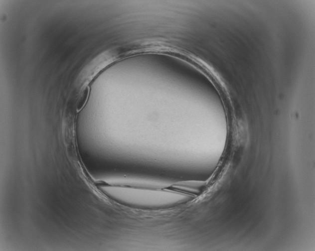 X0000086061289200703301031