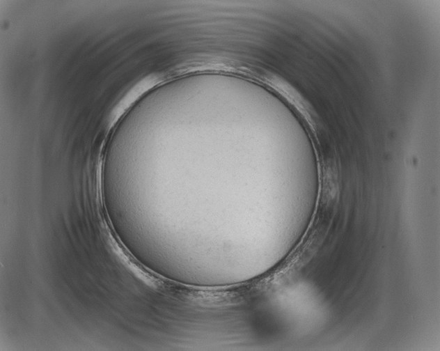 X0000086061290200703301031