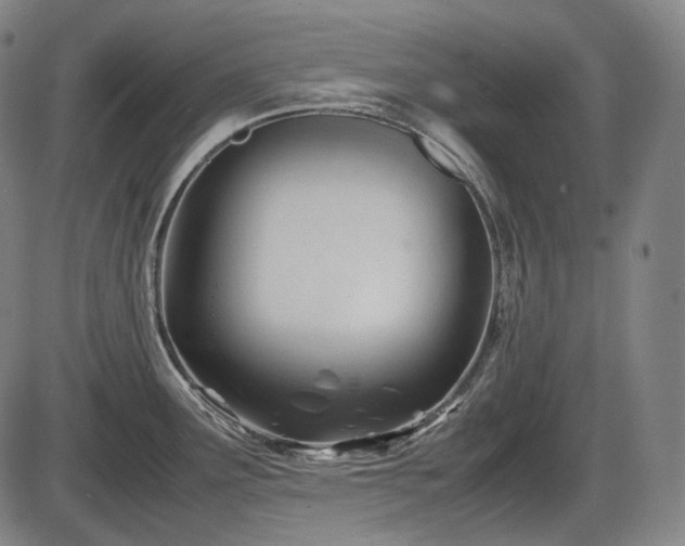 X0000086061291200703301031