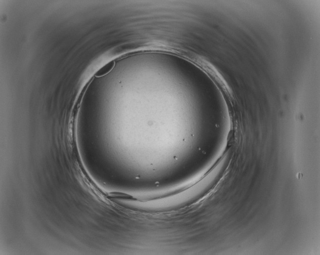 X0000086061292200703301031