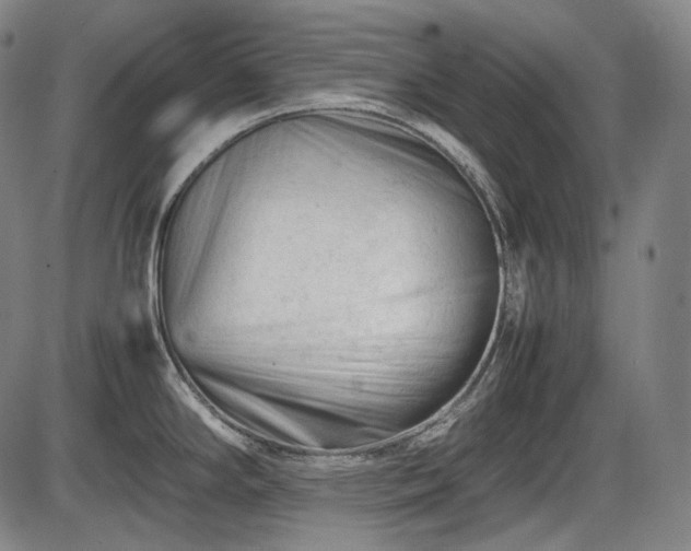 X0000086061294200703301031