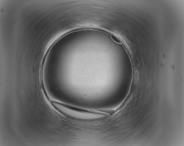 X0000086061295200703301031