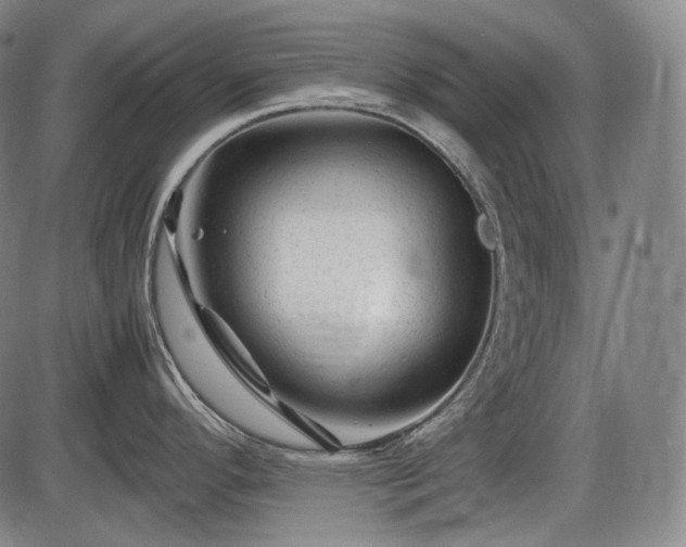 X0000086061296200703301031