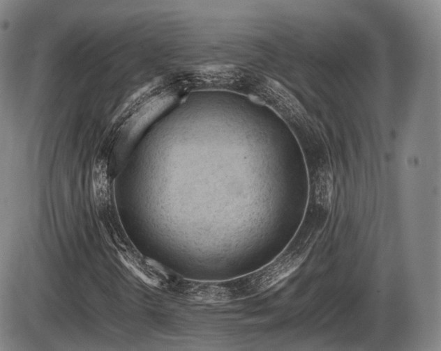 X0000086061298200703301030