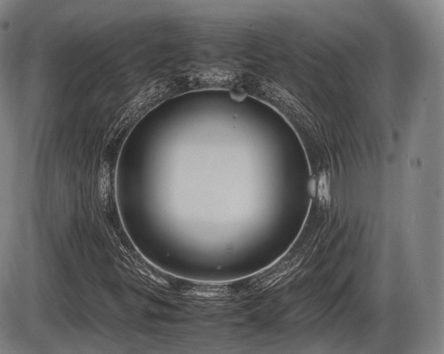 X0000086061299200703301030