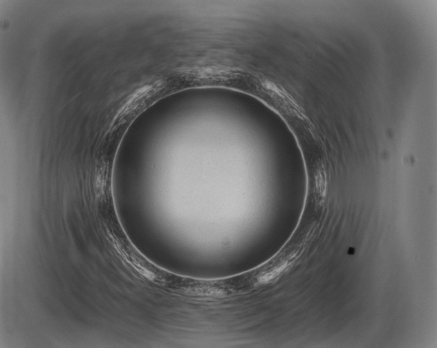 X0000086061300200703301030