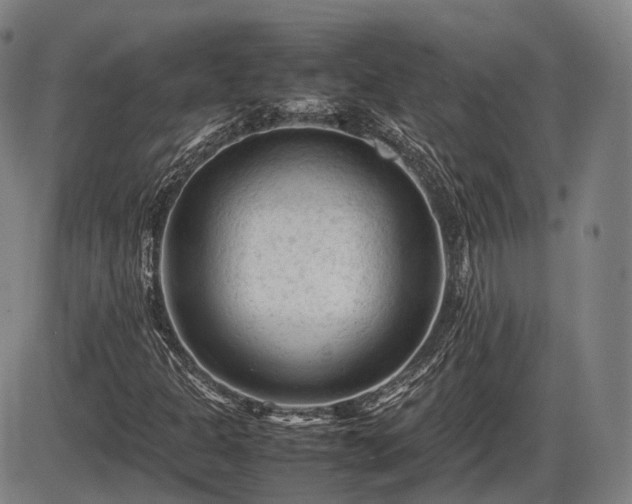 X0000086061301200703301030