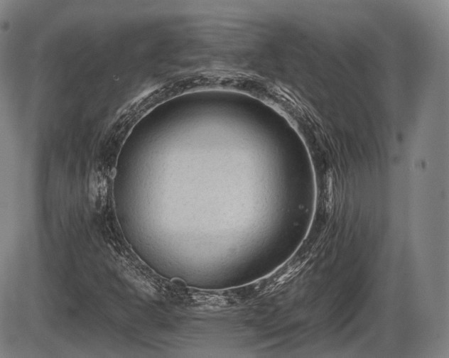 X0000086061302200703301030