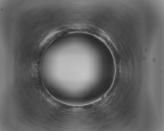 X0000086061304200703301030