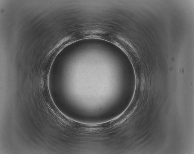 X0000086061305200703301030