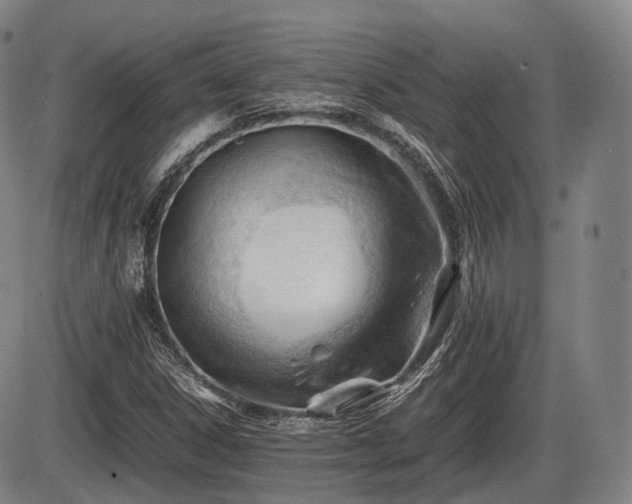 X0000086061306200703301030