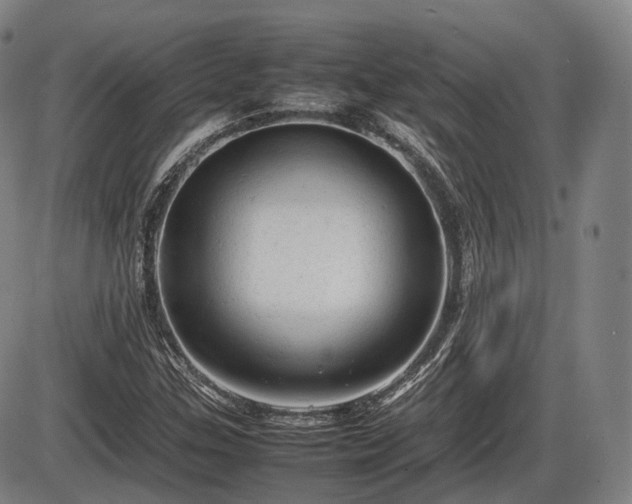 X0000086061307200703301030