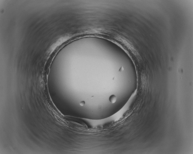 X0000086061308200703301030