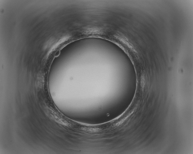 X0000086061309200703301030