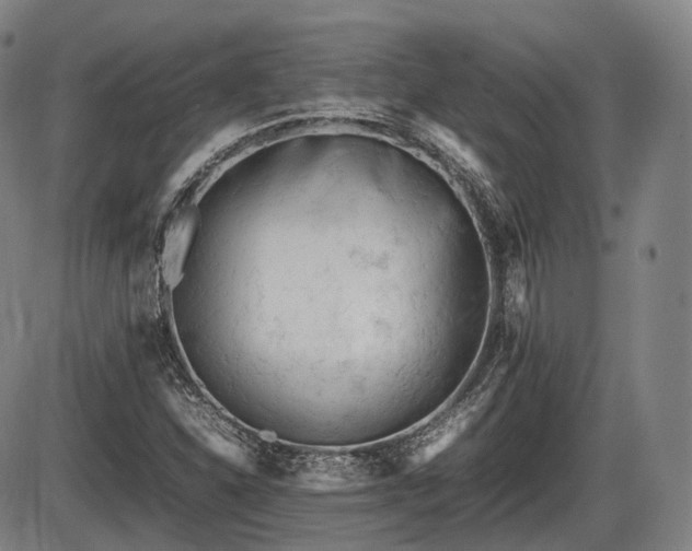 X0000086061310200703301030